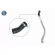 Gaine de suralimentation VAICO V25-1037 - Visuel 1