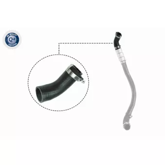 Gaine de suralimentation VAICO V25-1037