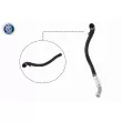 Gaine de suralimentation VAICO V25-1038 - Visuel 1