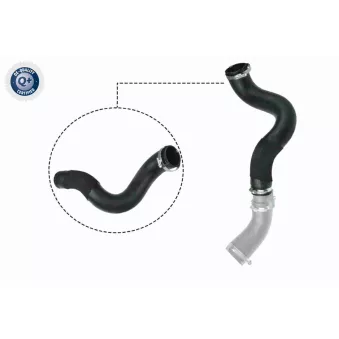 Gaine de suralimentation VAICO V25-1047
