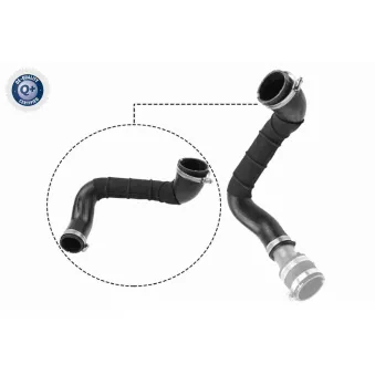 Gaine de suralimentation VAICO V25-1049