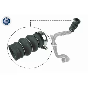 Gaine de suralimentation VAICO V25-1052