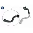 Gaine de suralimentation VAICO V25-1053 - Visuel 1