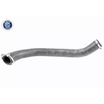 Gaine de suralimentation VAICO V25-1055