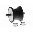 Support moteur avant droit VAICO V25-1141 - Visuel 1