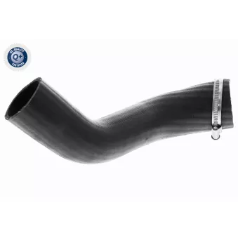 Gaine de suralimentation VAICO V25-1161