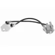 Flexible de frein VAICO V25-1325 - Visuel 1