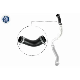Gaine de suralimentation VAICO V25-1487