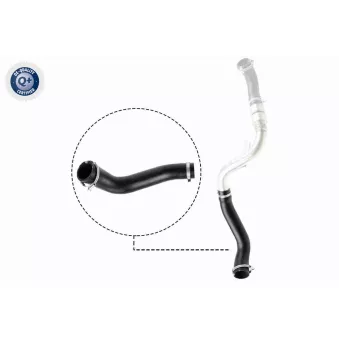Gaine de suralimentation VAICO V25-1488