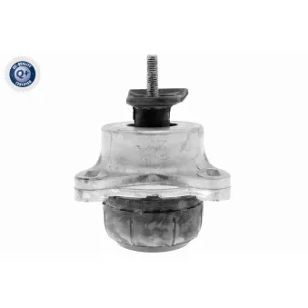 Support moteur avant gauche VAICO V25-1915