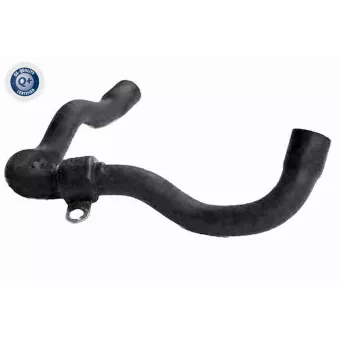 Durite de radiateur VAICO V25-2297
