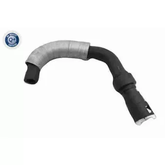 Durite de radiateur VAICO V25-2298