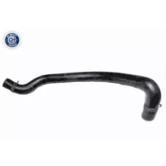Durite de radiateur VAICO V25-2302
