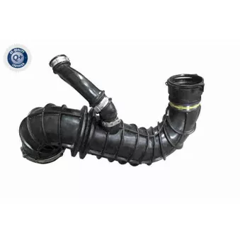 Flexible, alimentation en air VAICO V25-2346