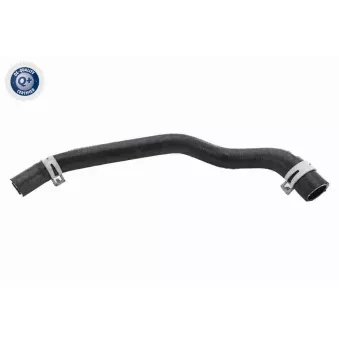 Durite de radiateur VAICO V25-2564