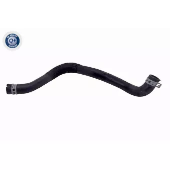 Durite de radiateur VAICO V25-2566