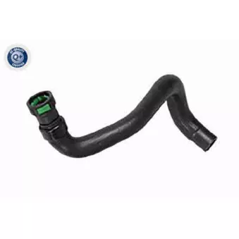 Durite de radiateur VAICO V25-2576