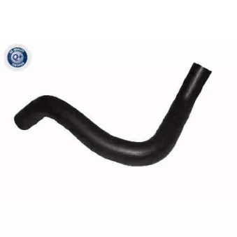 Durite de radiateur VAICO V25-2582