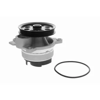 Pompe à eau, refroidissement du moteur VAICO V25-50038