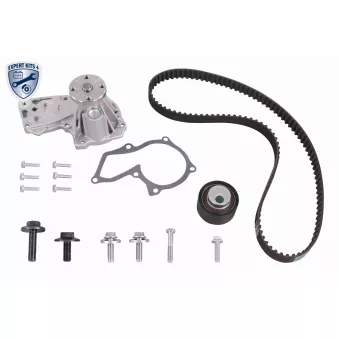 Pompe à eau + kit de courroie de distribution VAICO V25-50039-BEK
