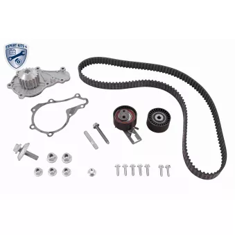 Pompe à eau + kit de courroie de distribution VAICO V25-50045-BEK