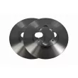 Jeu de 2 disques de frein avant VAICO V26-80006 - Visuel 1