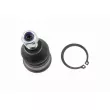 Rotule de suspension VAICO V26-9500 - Visuel 1