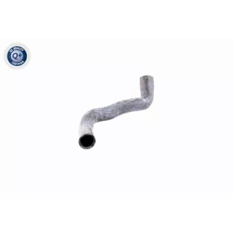 Durite de radiateur VAICO V30-0146