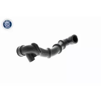 Tuyau, ventilation de carter-moteur VAICO V30-0795