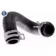 Durite de radiateur VAICO V30-1096 - Visuel 1