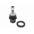Rotule de suspension VAICO V30-1384 - Visuel 1