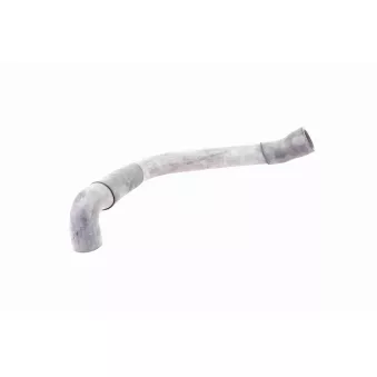 Durite de radiateur VAICO V30-1621