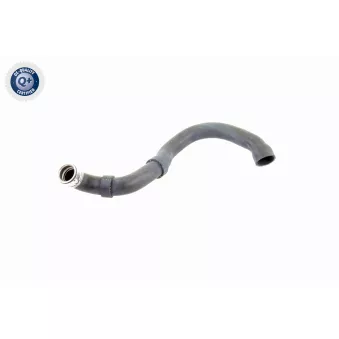 Durite de radiateur VAICO V30-1661