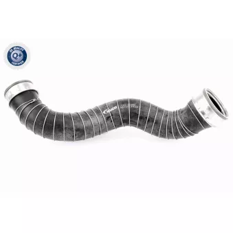 Gaine de suralimentation VAICO V30-1788
