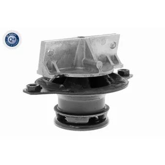 Support moteur VAICO V30-1856