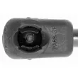 Vérin, capot-moteur VAICO V30-2095 - Visuel 2