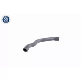 Durite de radiateur VAICO V30-2099