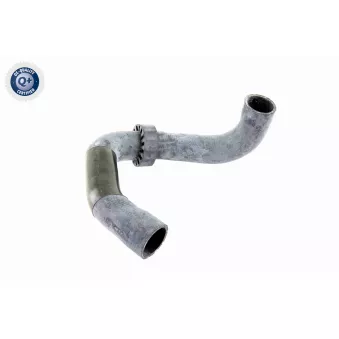 Durite de radiateur VAICO