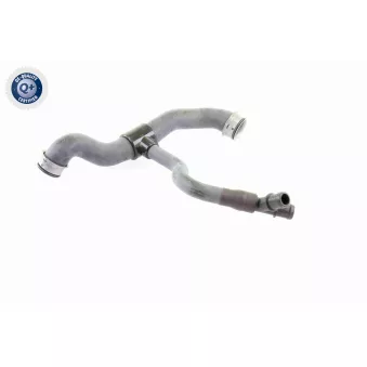 Durite de radiateur VAICO V30-2231
