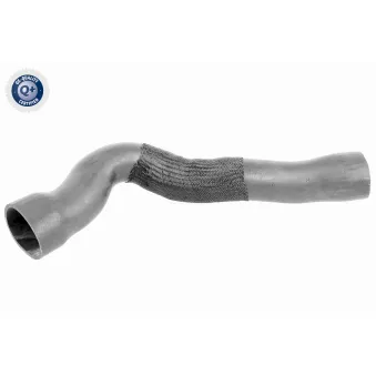 Gaine de suralimentation VAICO V30-2239