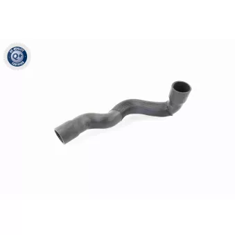 Gaine de suralimentation VAICO V30-2249