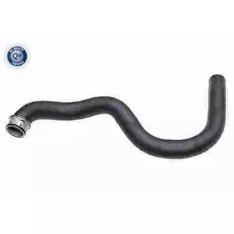 Durite de radiateur VAICO V30-2624