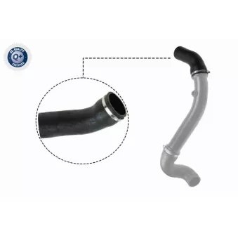 Gaine de suralimentation VAICO V30-2717