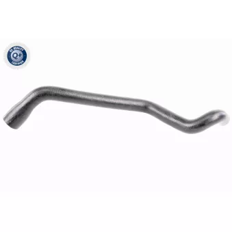 Durite de radiateur VAICO V30-2778