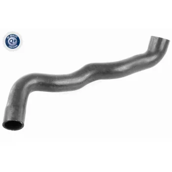 Durite de radiateur VAICO V30-2913