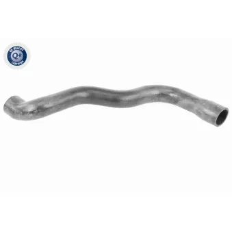 Durite de radiateur VAICO V30-2915