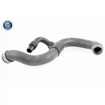 Durite de radiateur VAICO V30-2968