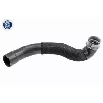 Durite de radiateur VAICO V30-3424