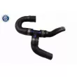 Durite de radiateur VAICO V30-3998 - Visuel 1