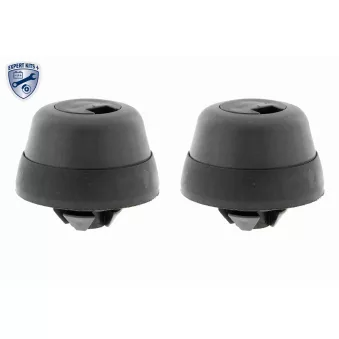 Fixation, cric VAICO V30-4173